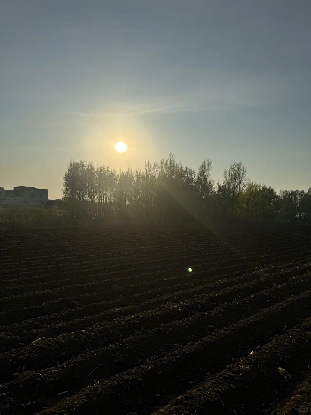 南方人见到了真正的黑土地