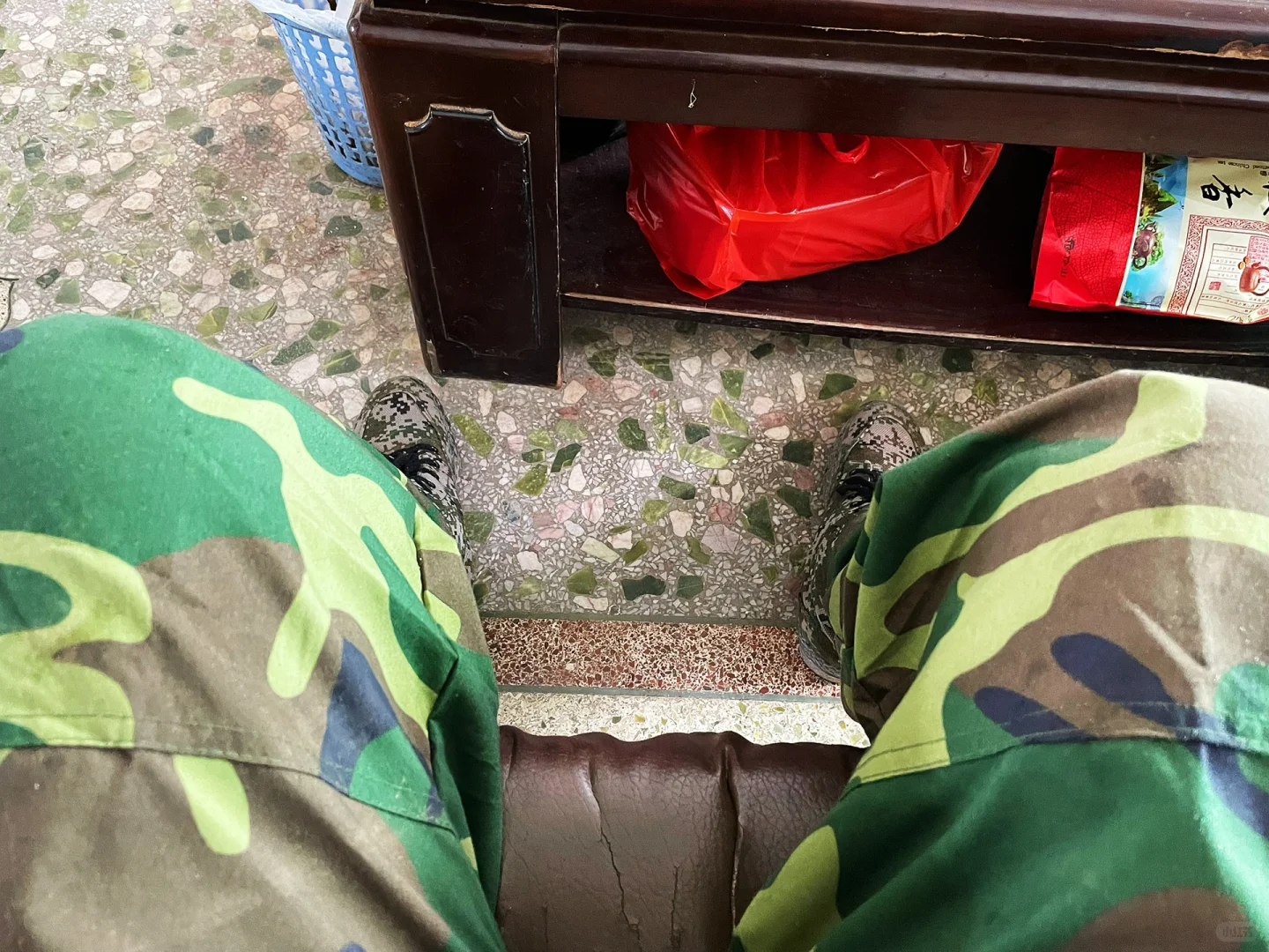 任务-林业调查员