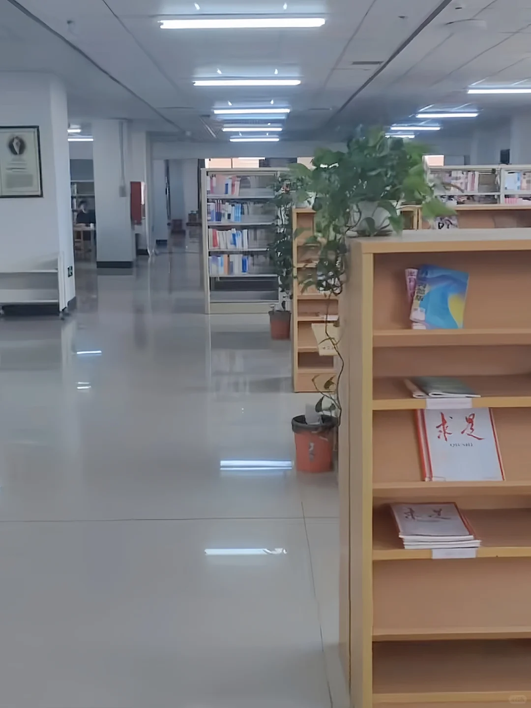 ?河北农业大学||图书馆