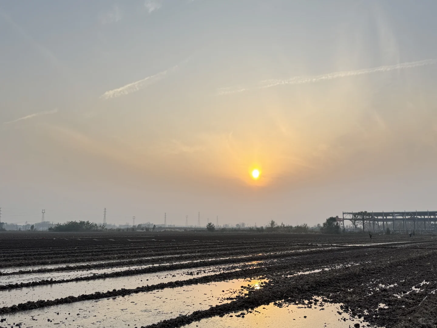 农村秋天的落叶真美呀?