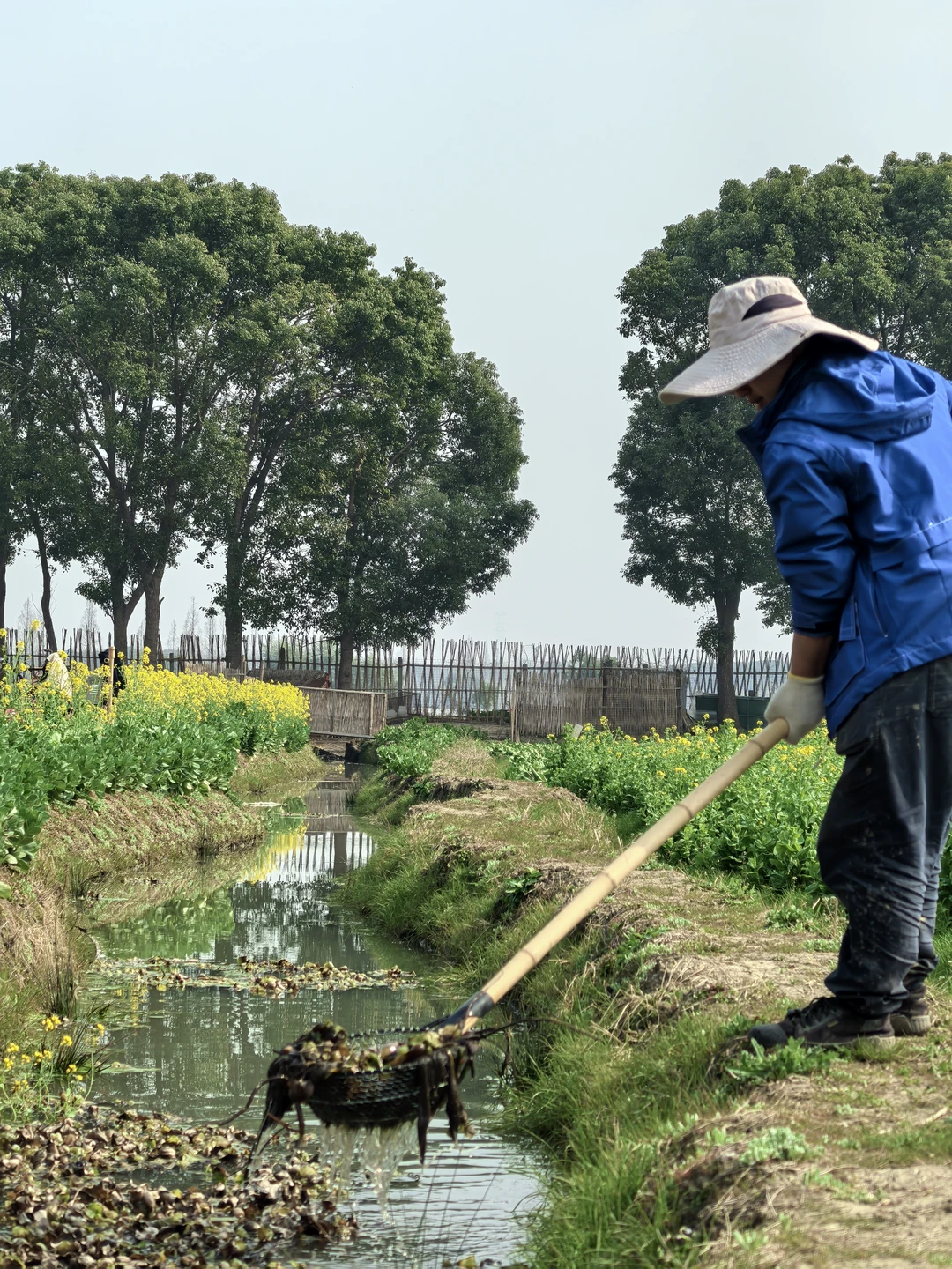 素然河道清洁日｜在池塘里捞到了鸭蛋?