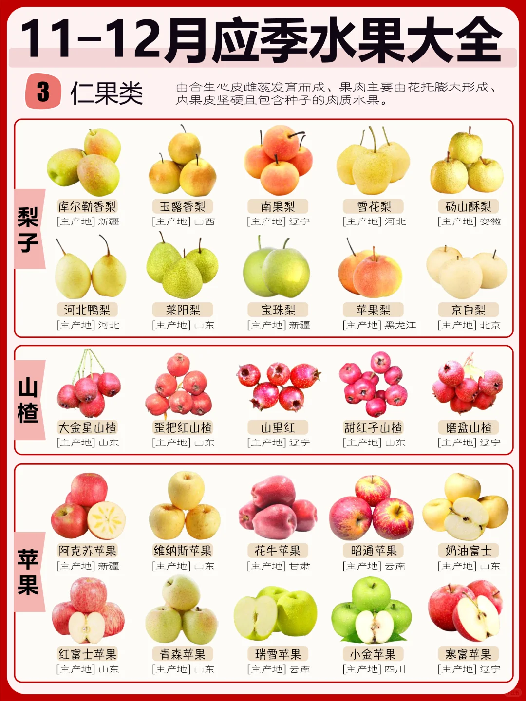 11月—12月应季水果大全