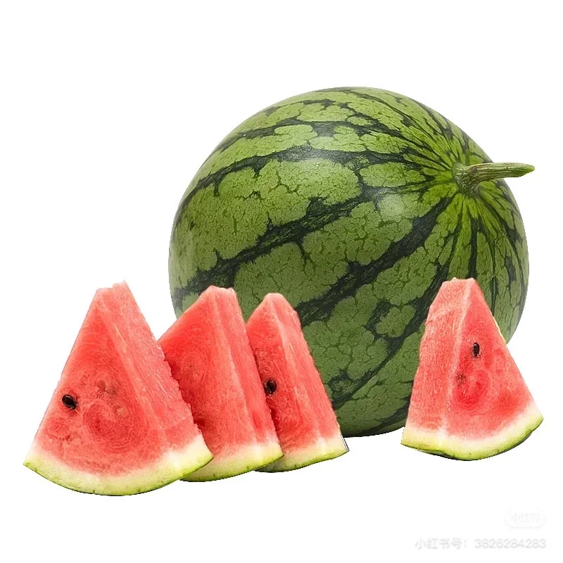 色彩练习素材2～水果????????‍?