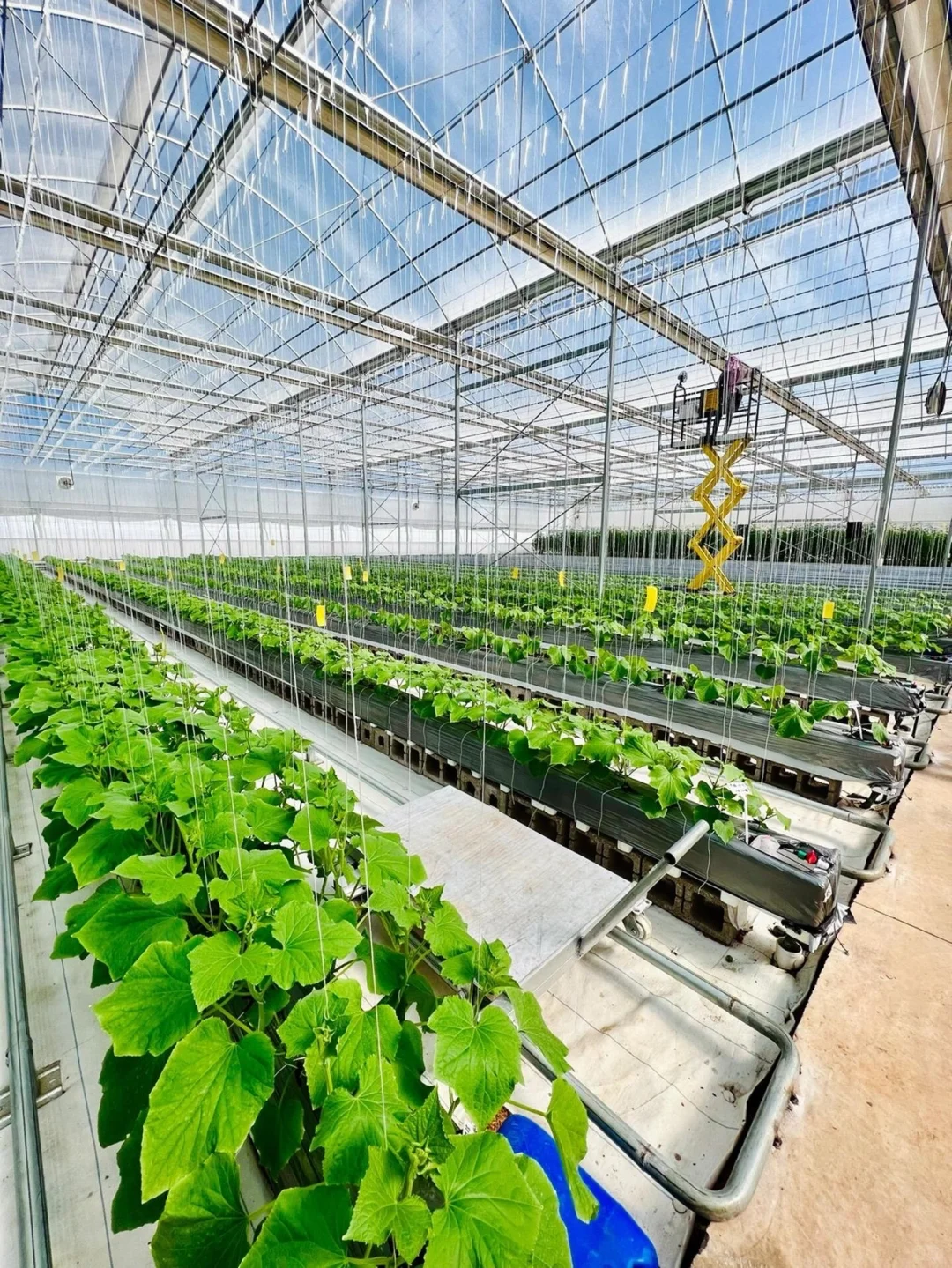 员工的育苗箱,比任何都让我骄傲