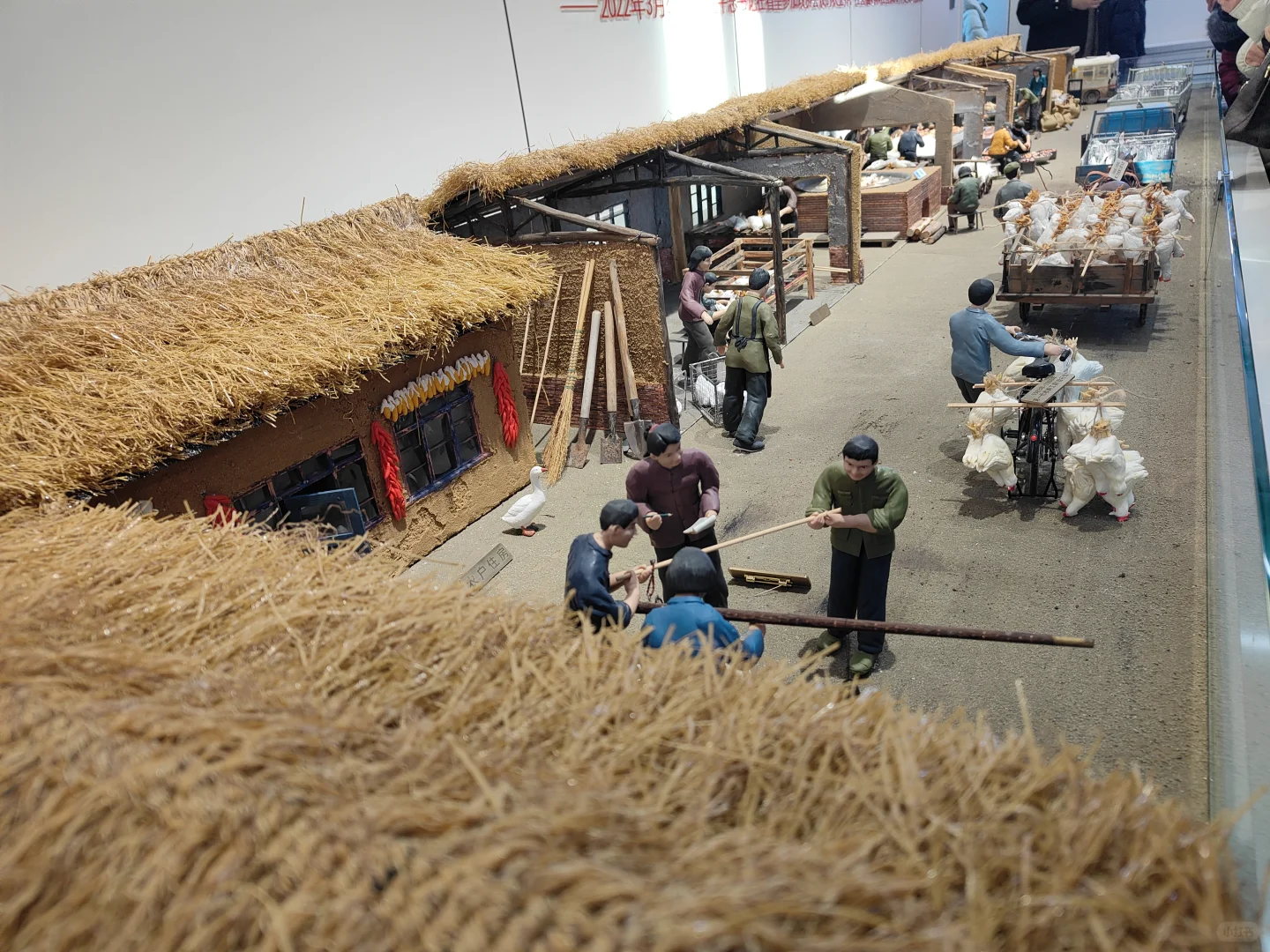 随行活动参观哈尔滨福山腾飞牧业工厂