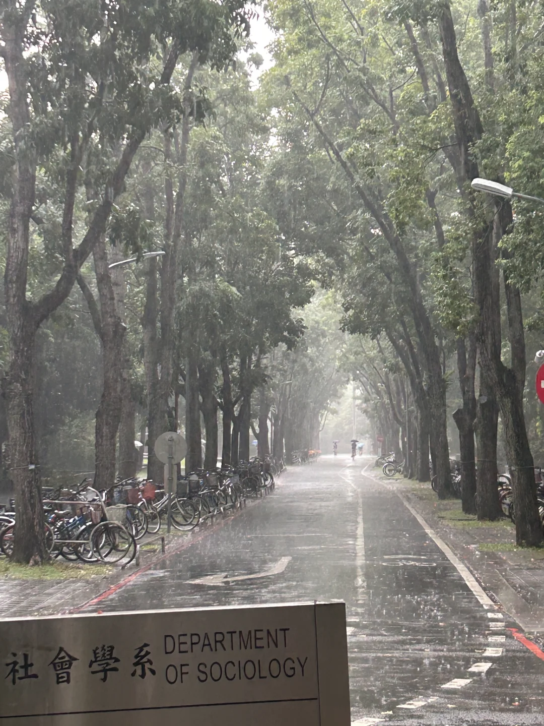 台湾交换|台大图书馆泡馆指南