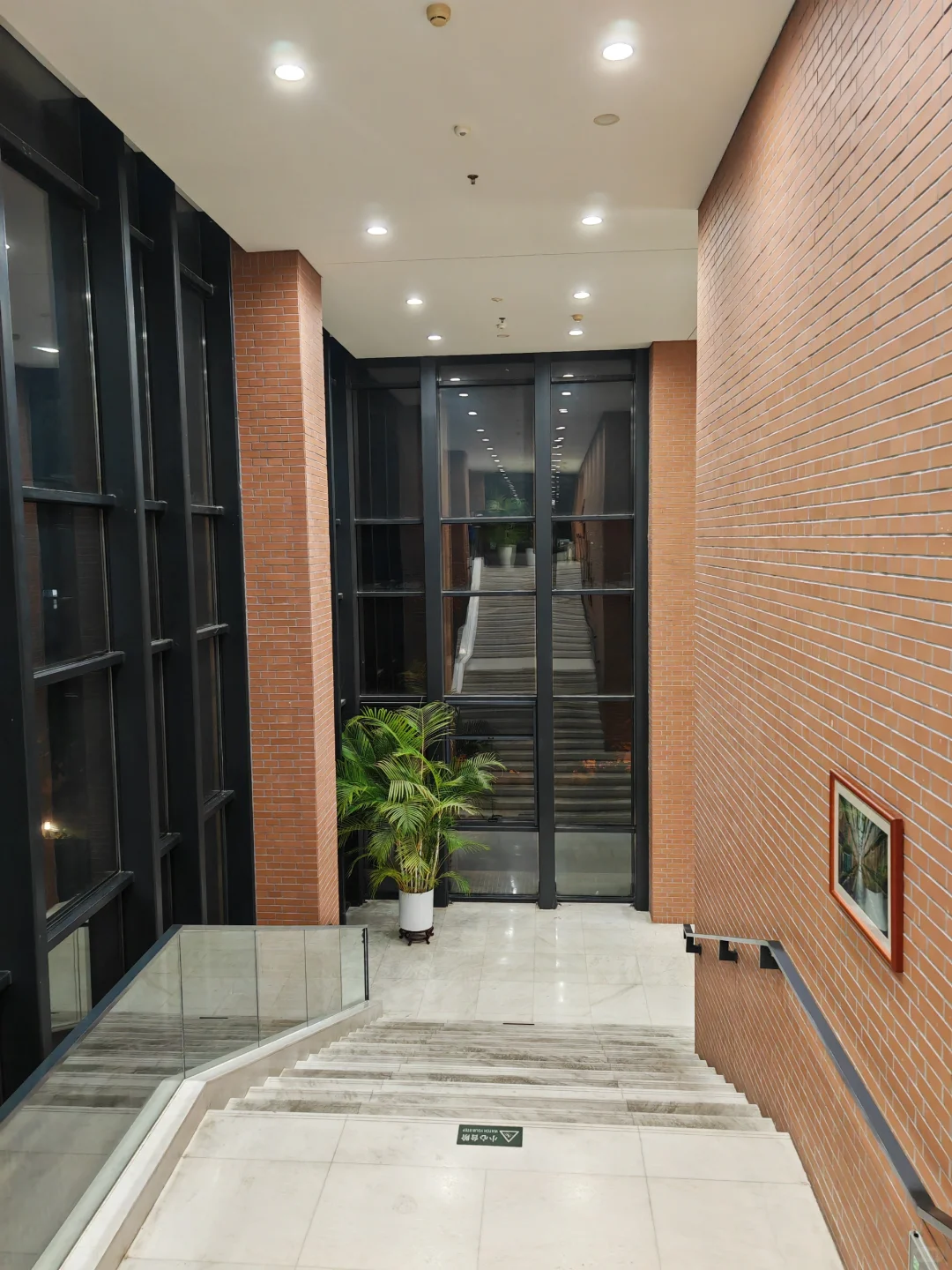 半年来第一次进图书馆就待到闭馆