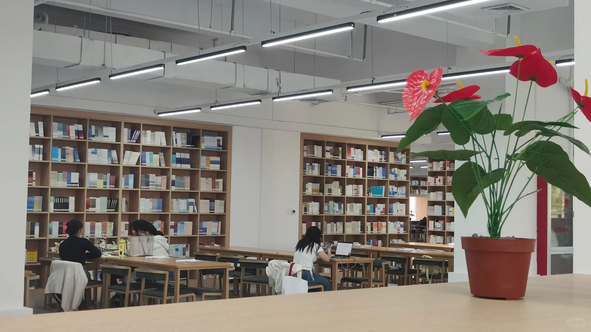 打卡河北东方学院图书馆