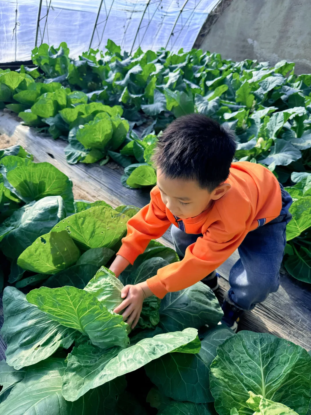 沈阳冬日遛娃天花板！承包一整天的田园快乐！