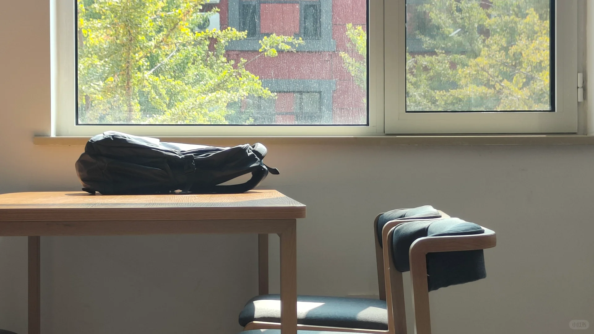 打卡河北东方学院图书馆