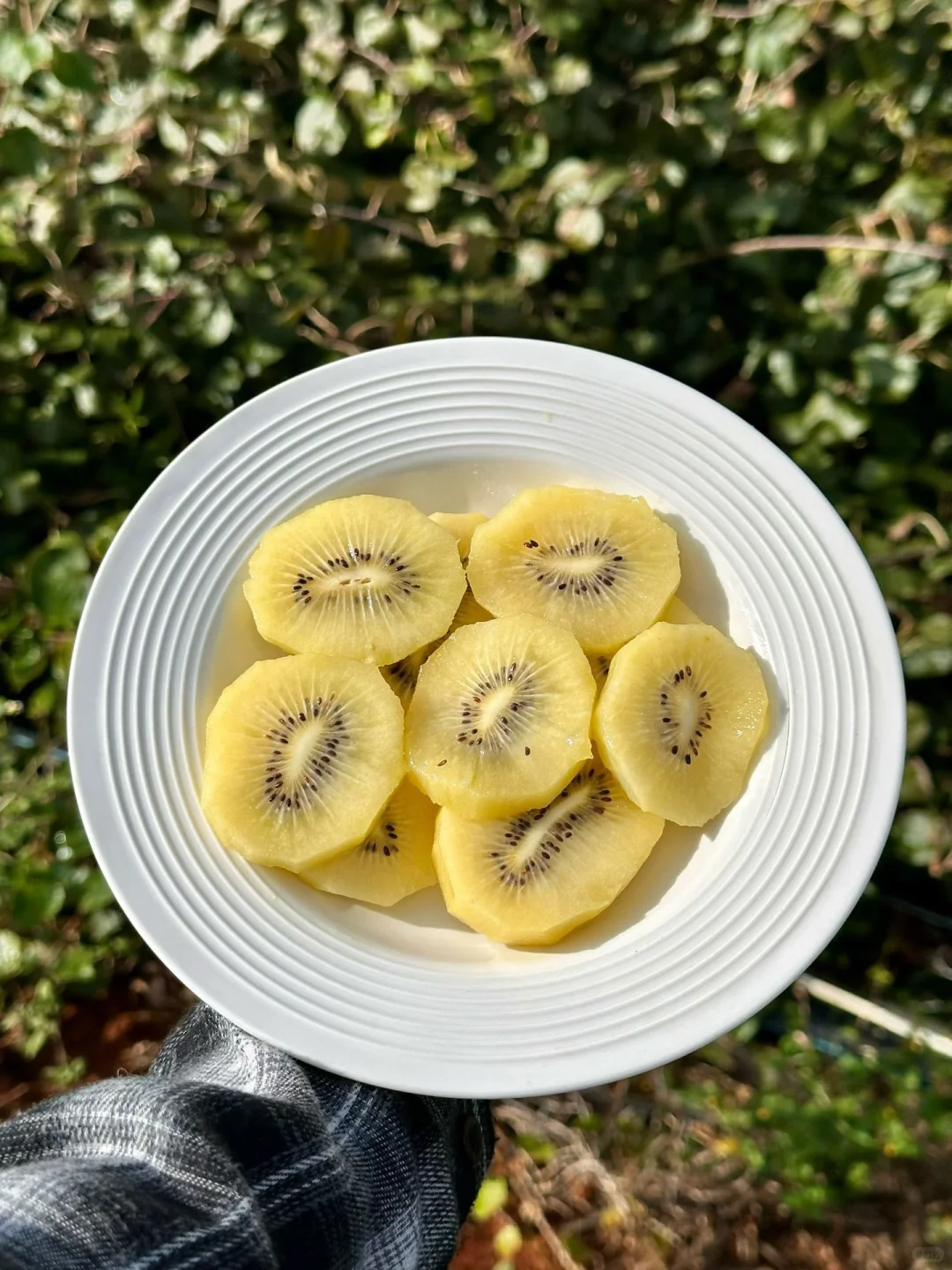 水果种植户来打破信息差