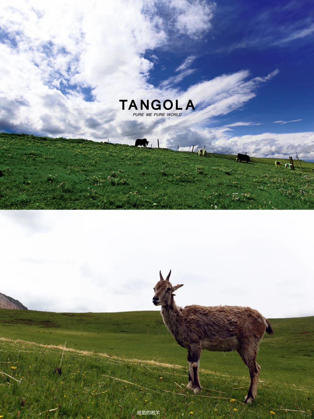 服装供应商｜你好！我是靠谱服装加工厂 ??