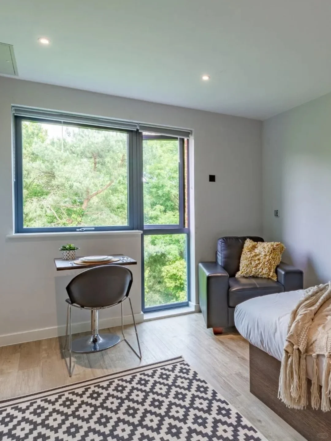 一不小心住进埃克塞特大学门口的森林屋