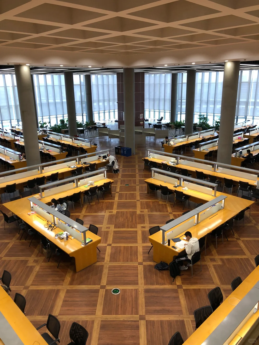 同济学生嘴真严?没想到图书馆可以长这样