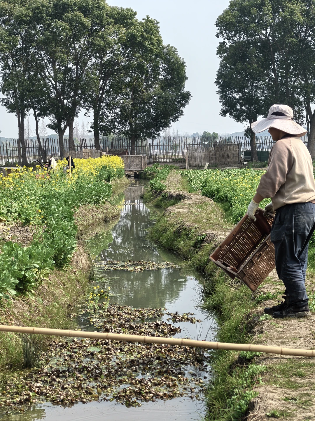 素然河道清洁日｜在池塘里捞到了鸭蛋?