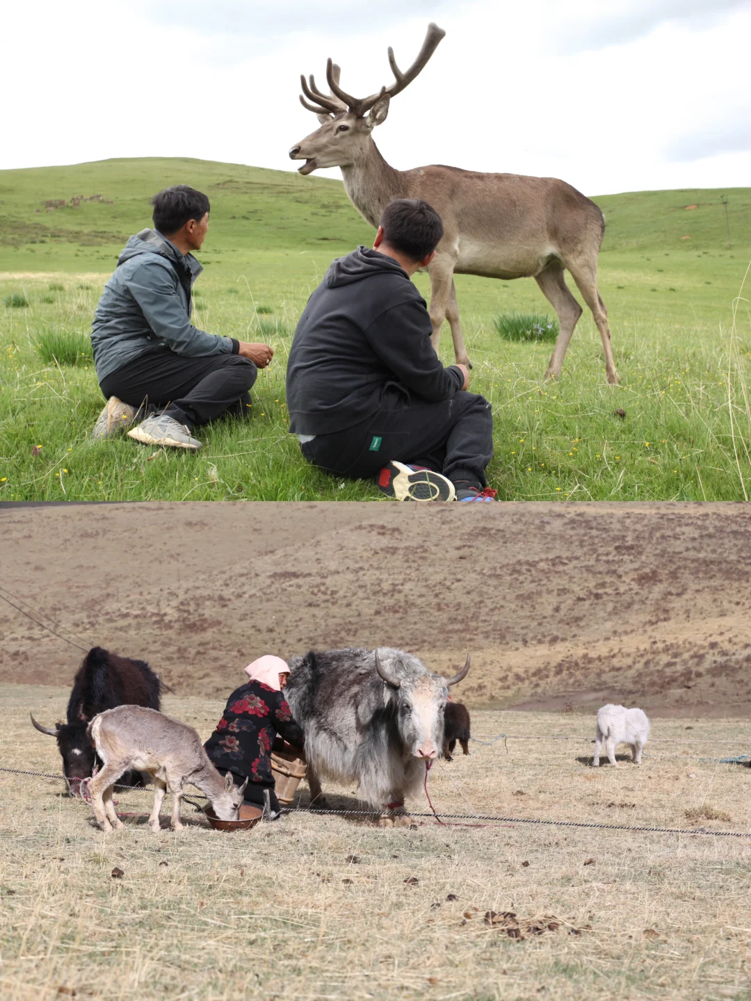 服装供应商｜你好！我是靠谱服装加工厂 ??