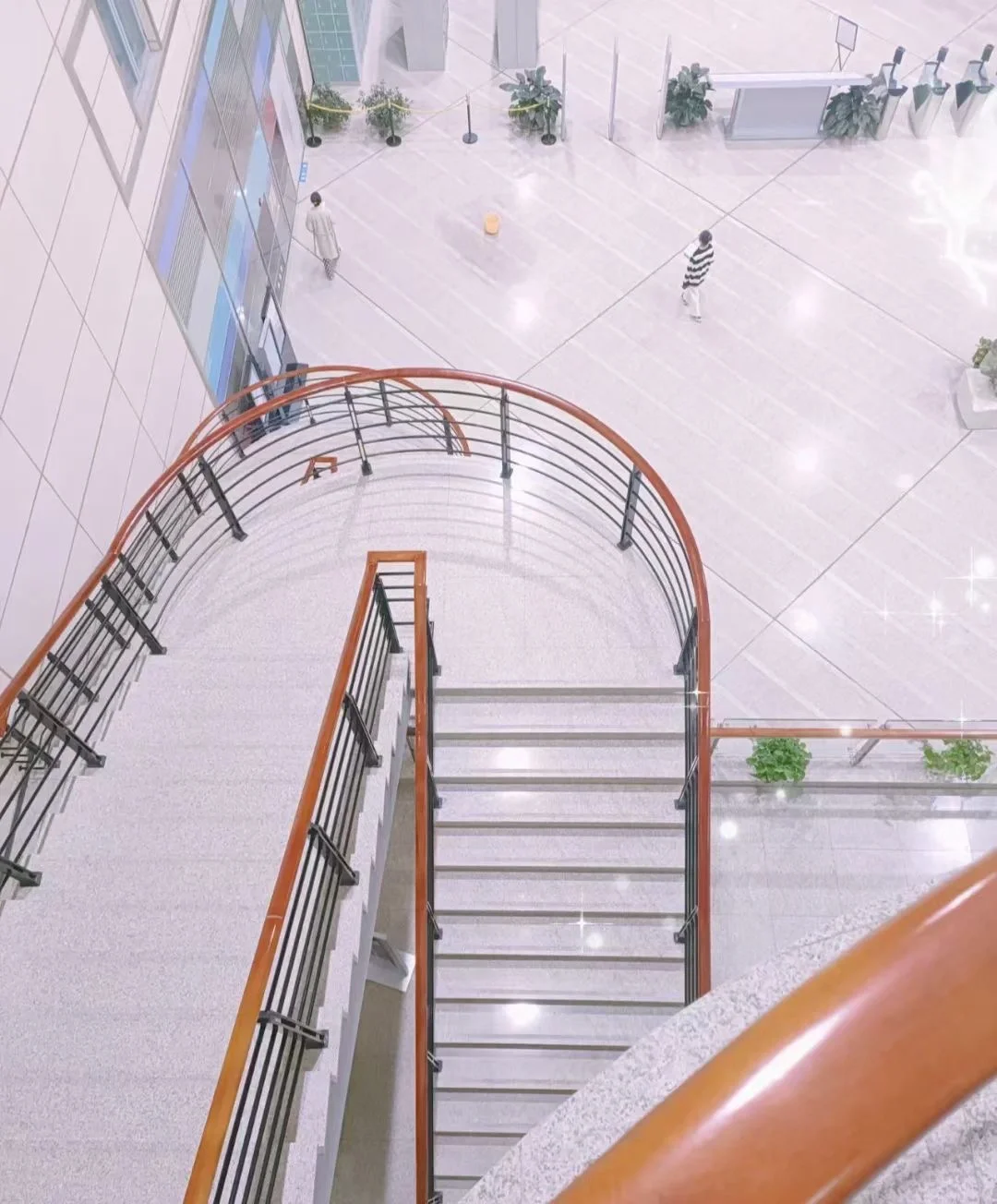 图书馆应该是大学最浪漫的地方了吧?