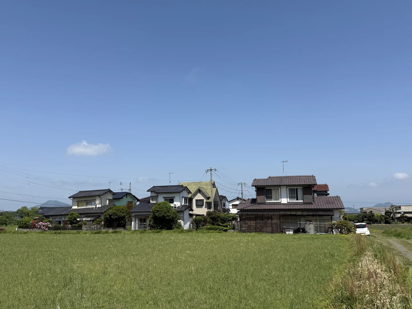 如何在日本做农业，你想问的我有系统方案