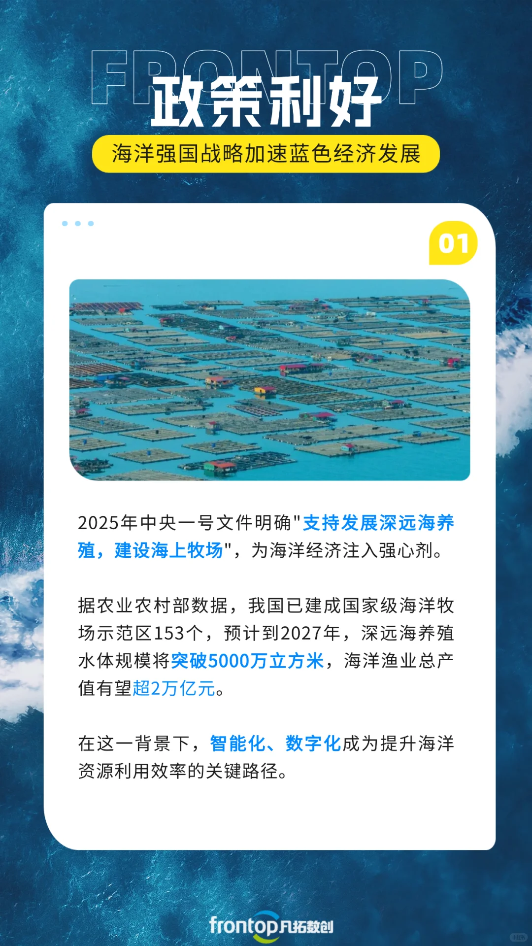 深海养鱼用上黑科技！数字孪生遇上海洋牧场