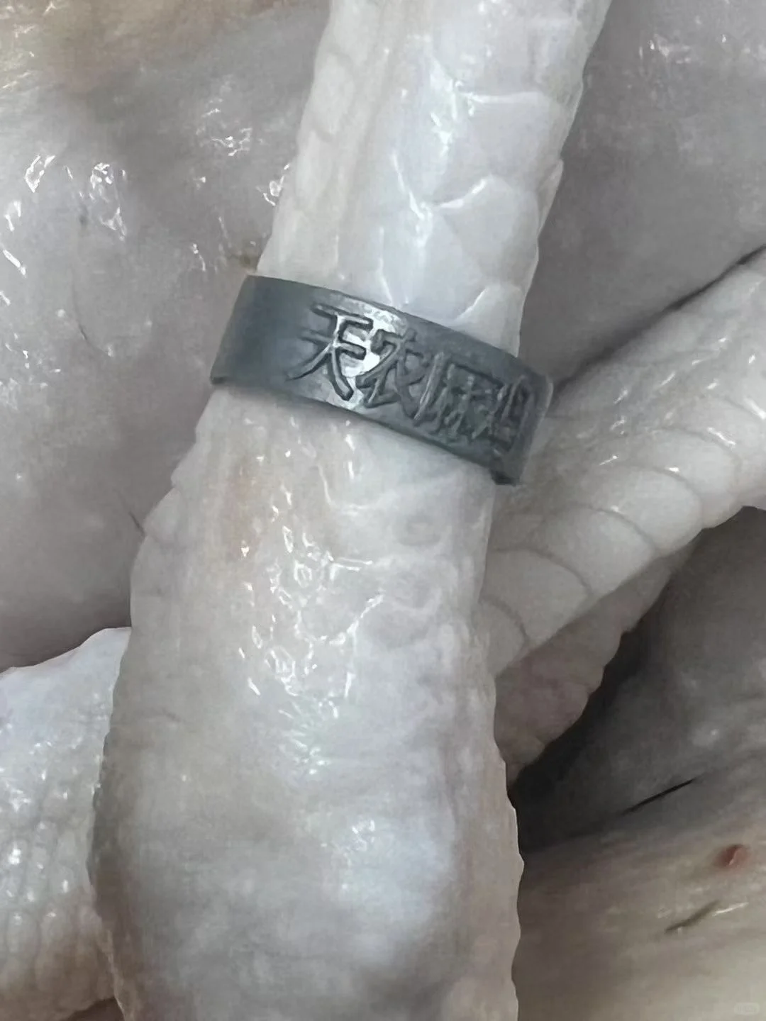 你们要找的生鲜鸡供应链在这！