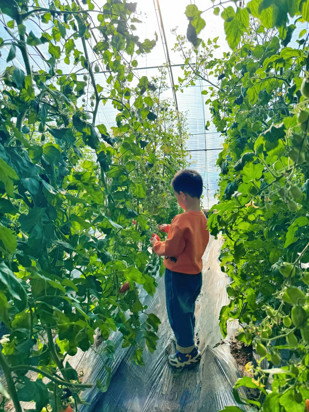 沈阳冬日遛娃天花板！承包一整天的田园快乐！