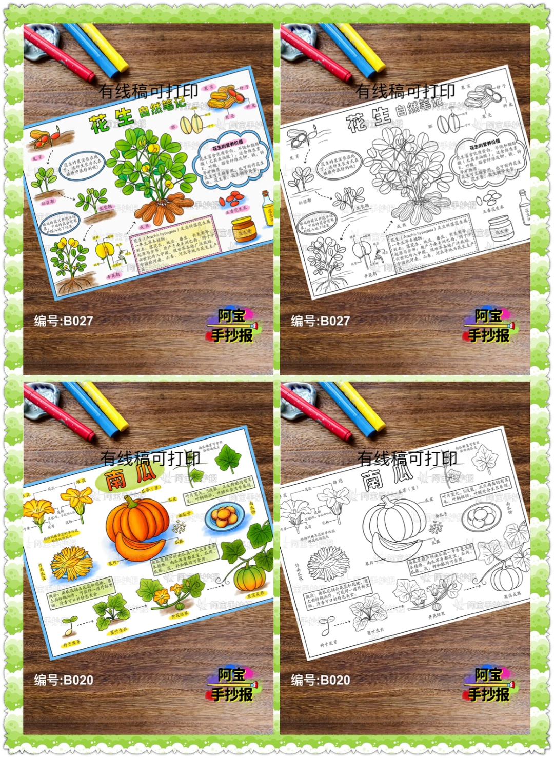 蔬菜水果类的自然笔记手抄报合集