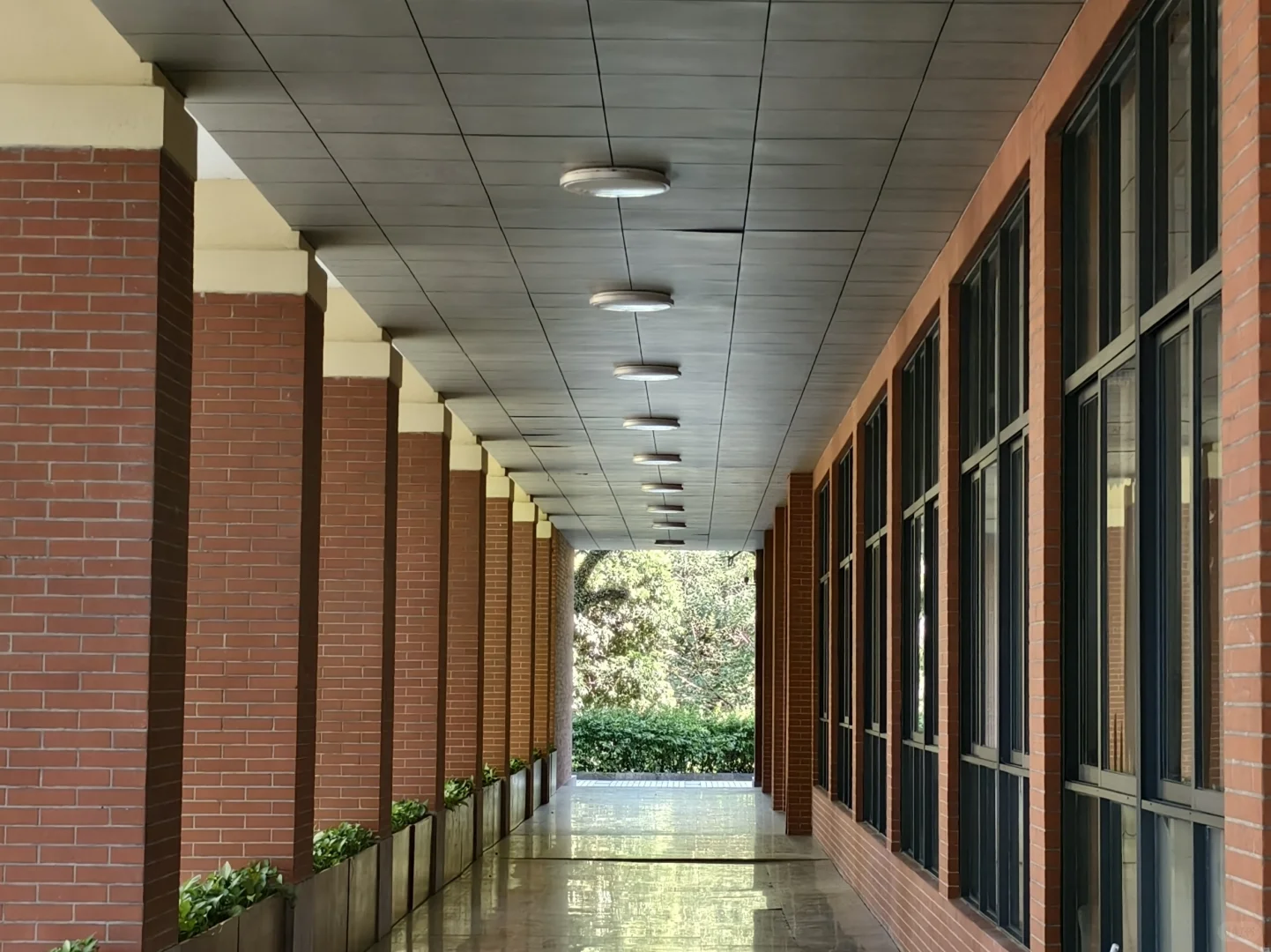 漫卷·象牙塔：中山大学 | 图书馆