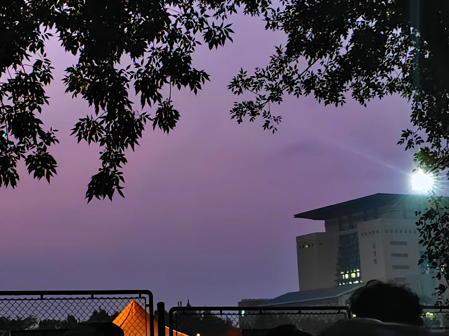 我在圣井度过的这些日子3⃣️——图书馆