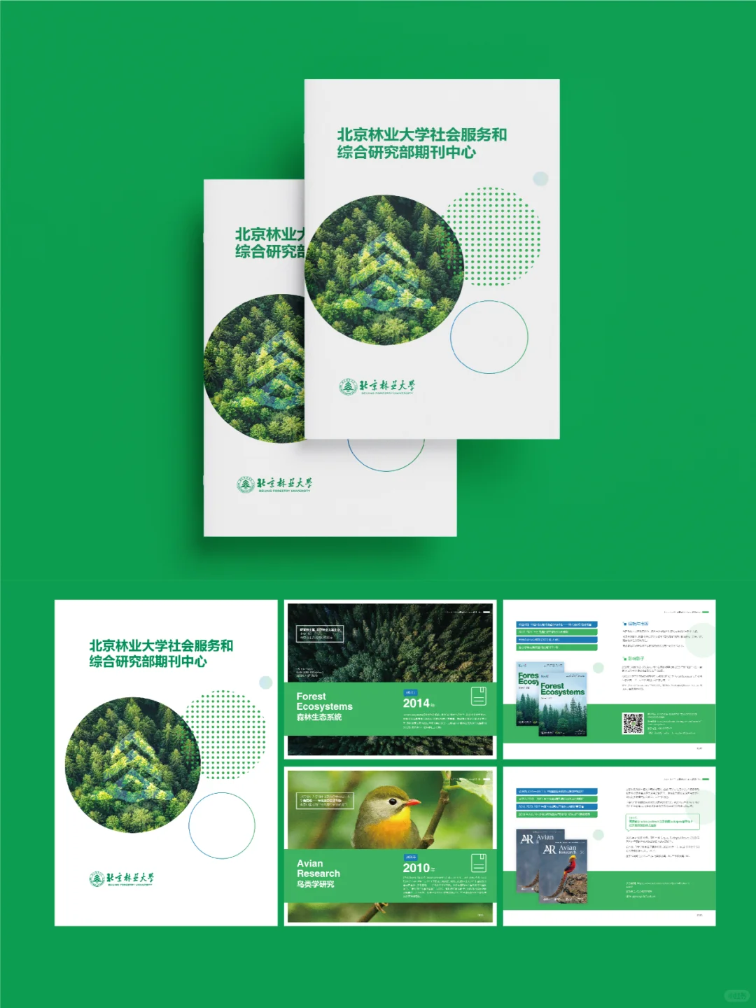 一抹蓝绿? 探秘北林大期刊? 蓝绿风暴