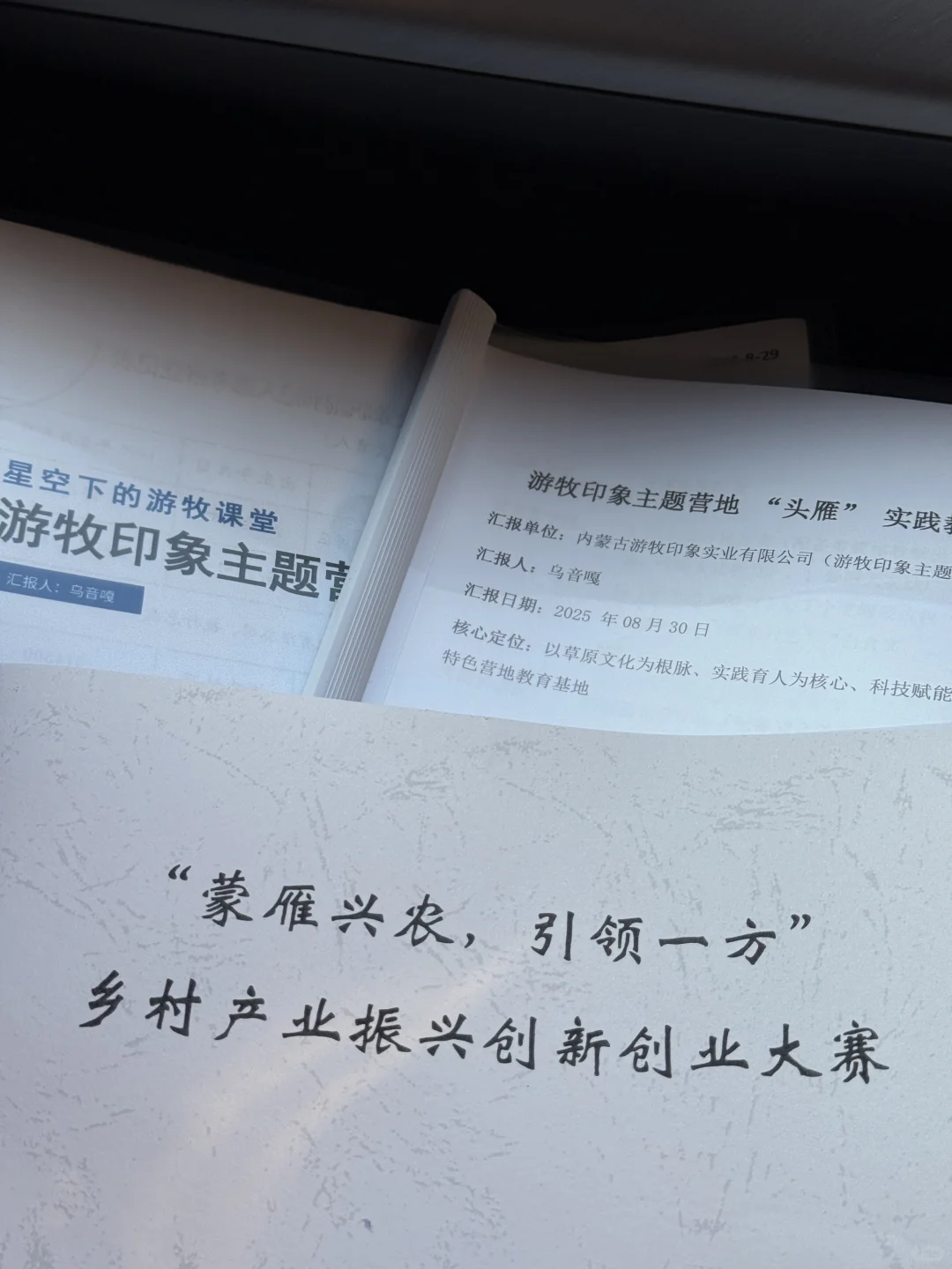 “蒙雁兴农，引领一方”乡村产业振兴