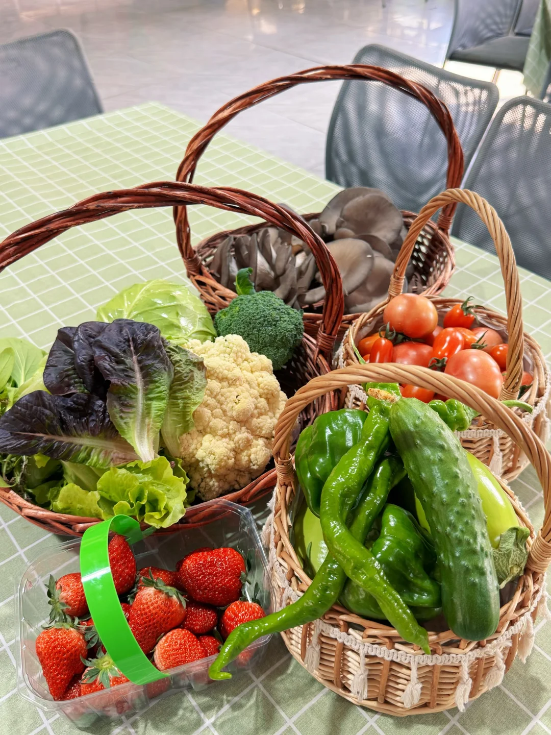 沈阳冬日遛娃天花板！承包一整天的田园快乐！