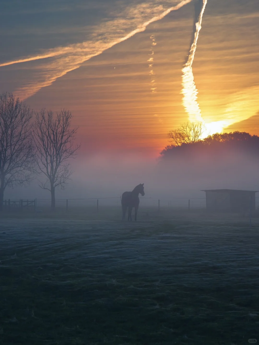 ☀️国际清洁能源日｜ZOO的100个自然日?