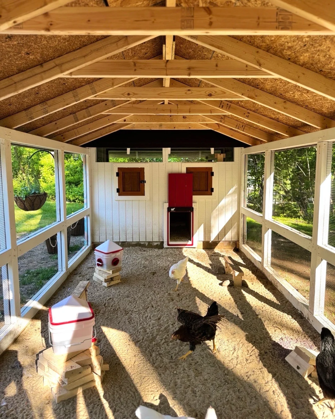 养鸡人必看！鸡舍设计分享