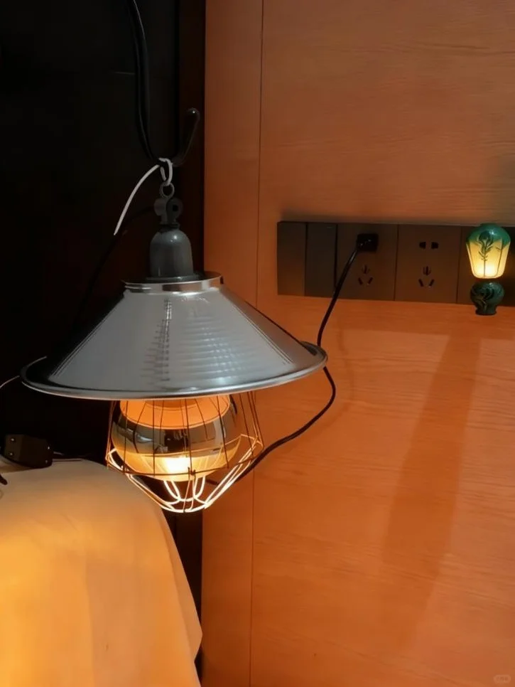 买了个20块养殖场灯暖到跺脚 !??