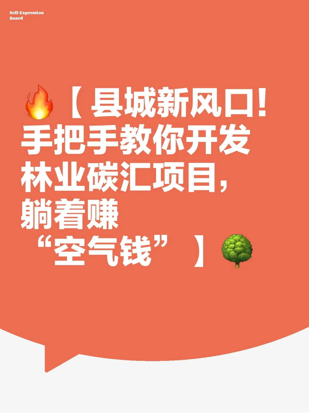 林业碳汇项目