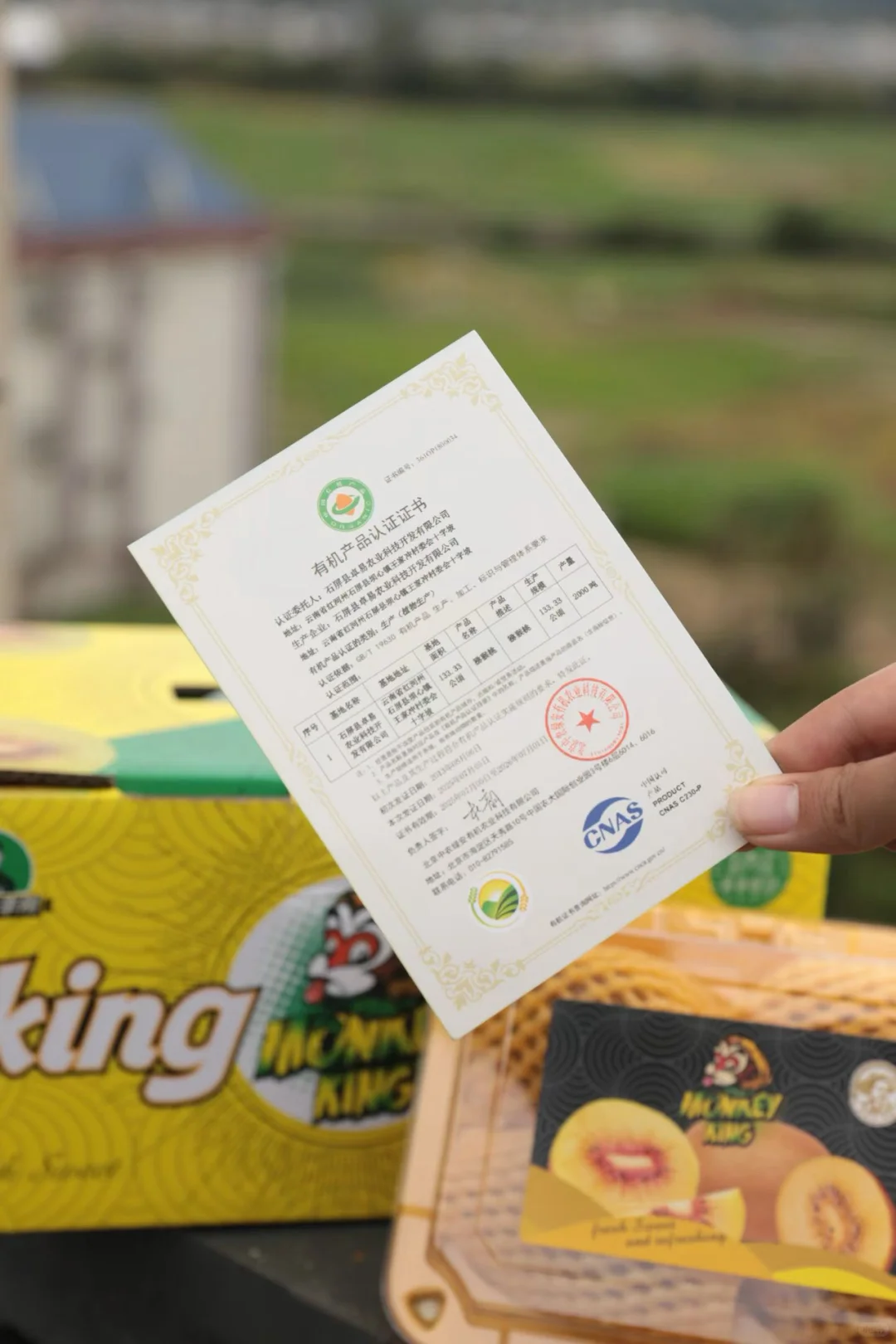 水果种植户来打破信息差