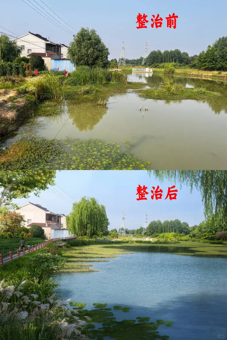 新农村人居环境整治提升效果图