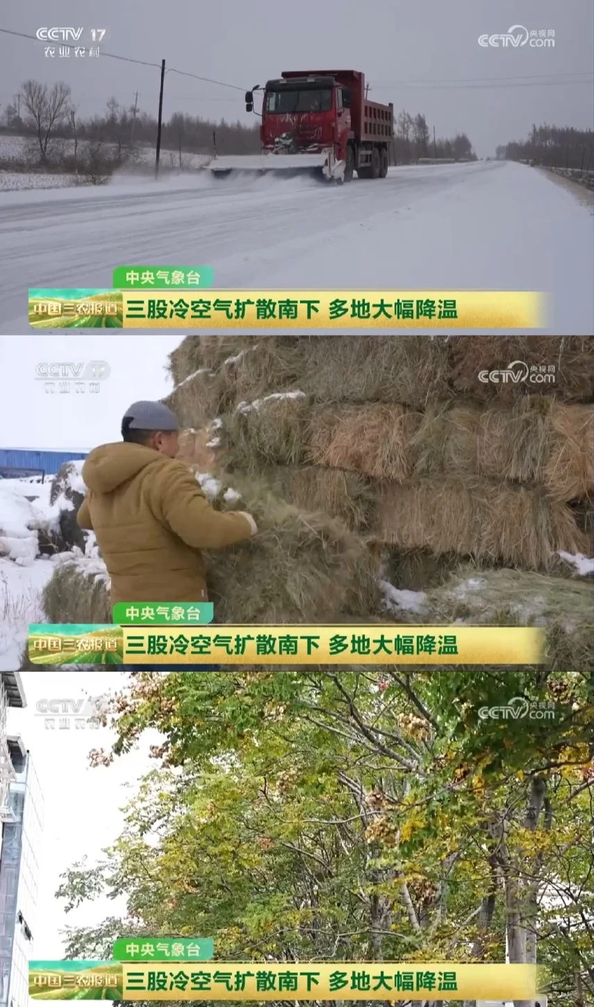 2025年11月28日农业新闻摘录。