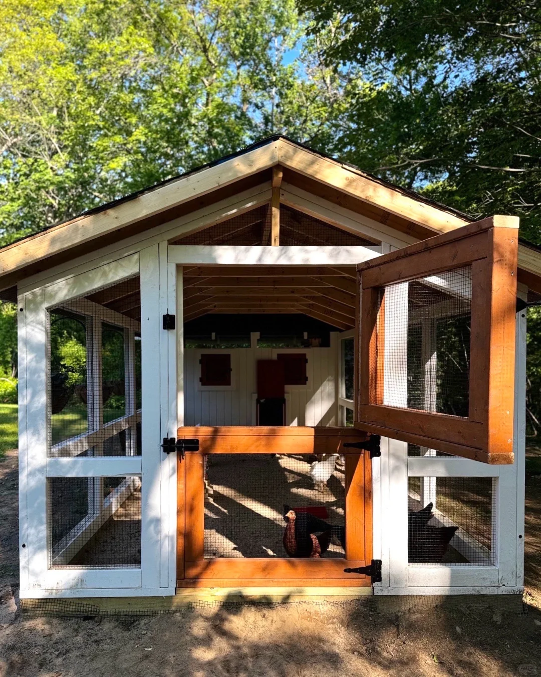 养鸡人必看！鸡舍设计分享