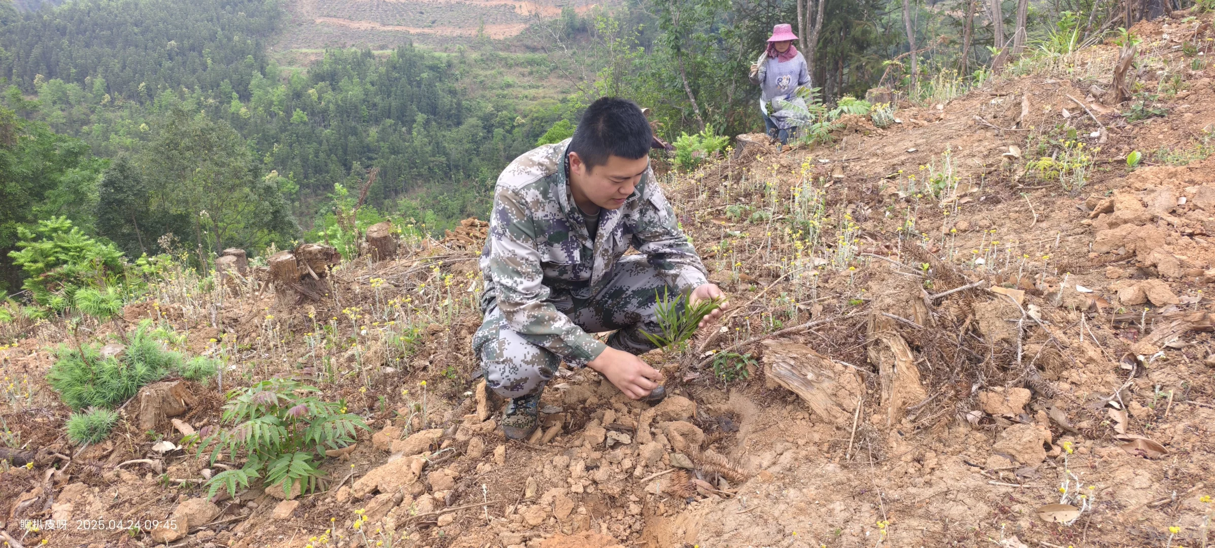 林业基层日常工作记录11