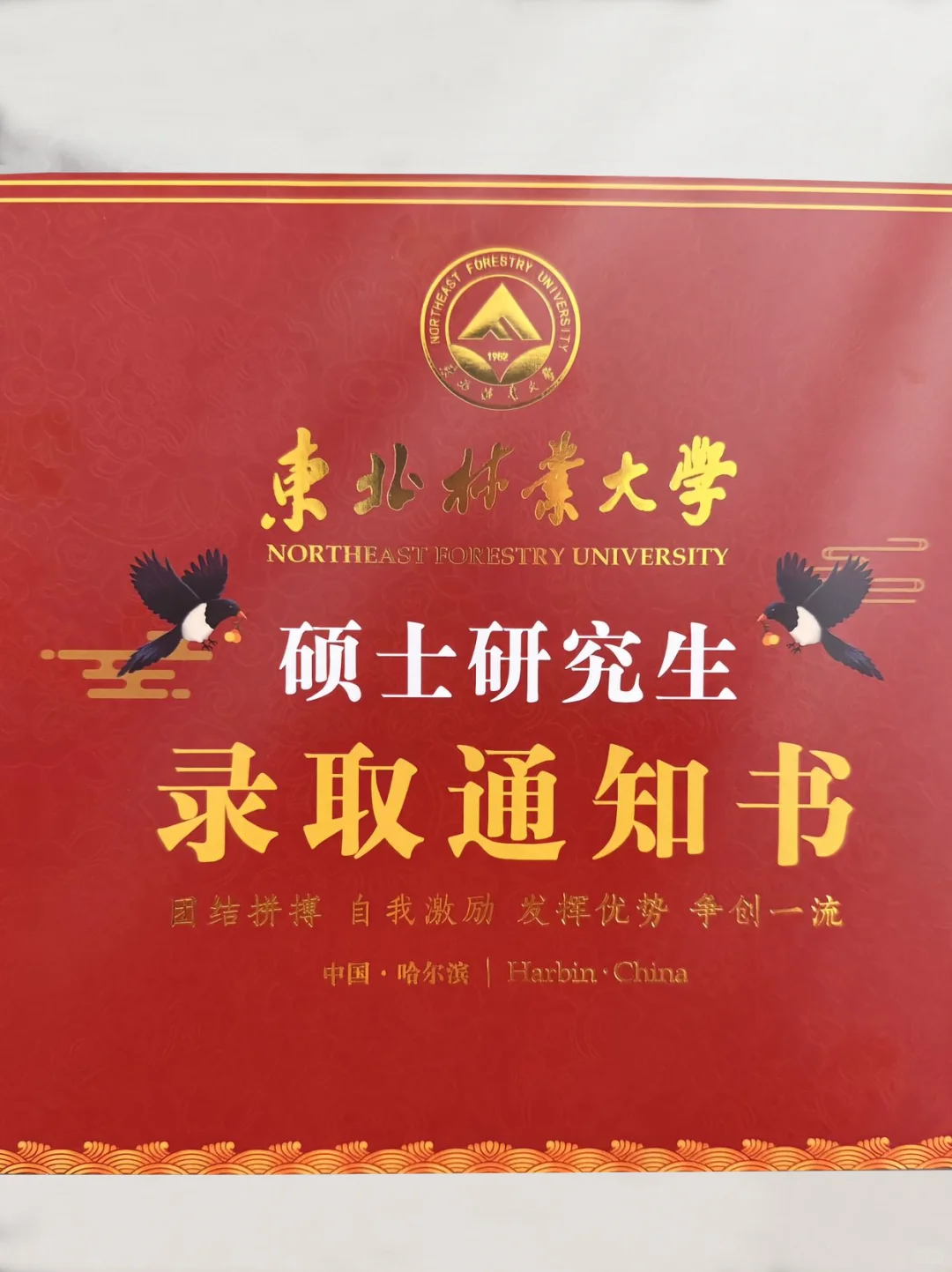 不是打击哈尔滨体制内，但是考东北林业大学