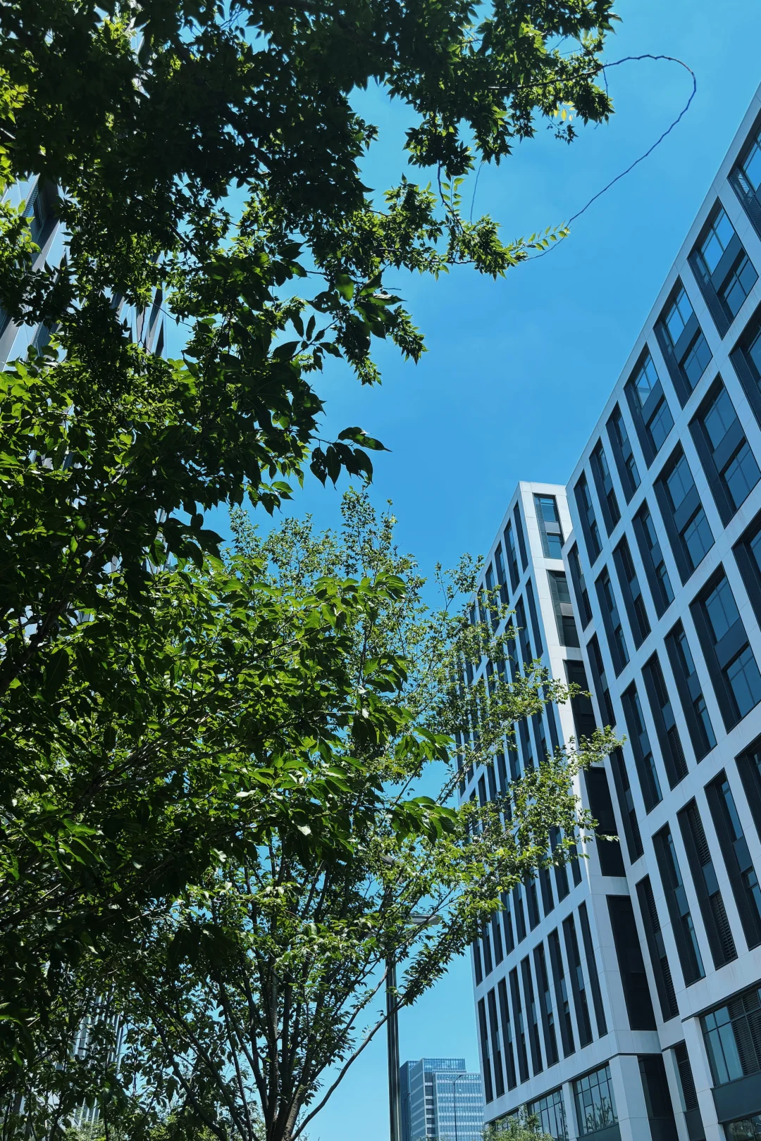 做服装10年，终于找到“招工不难”的秘诀…