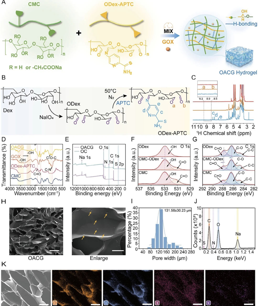 IF19! 智能水凝胶 创面