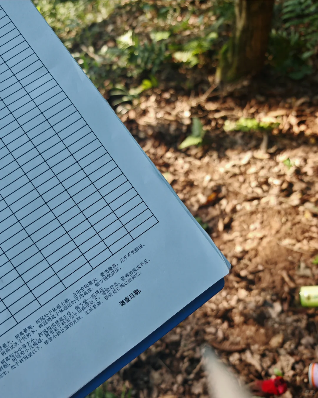 女孩子做林调，来来来，讲一讲