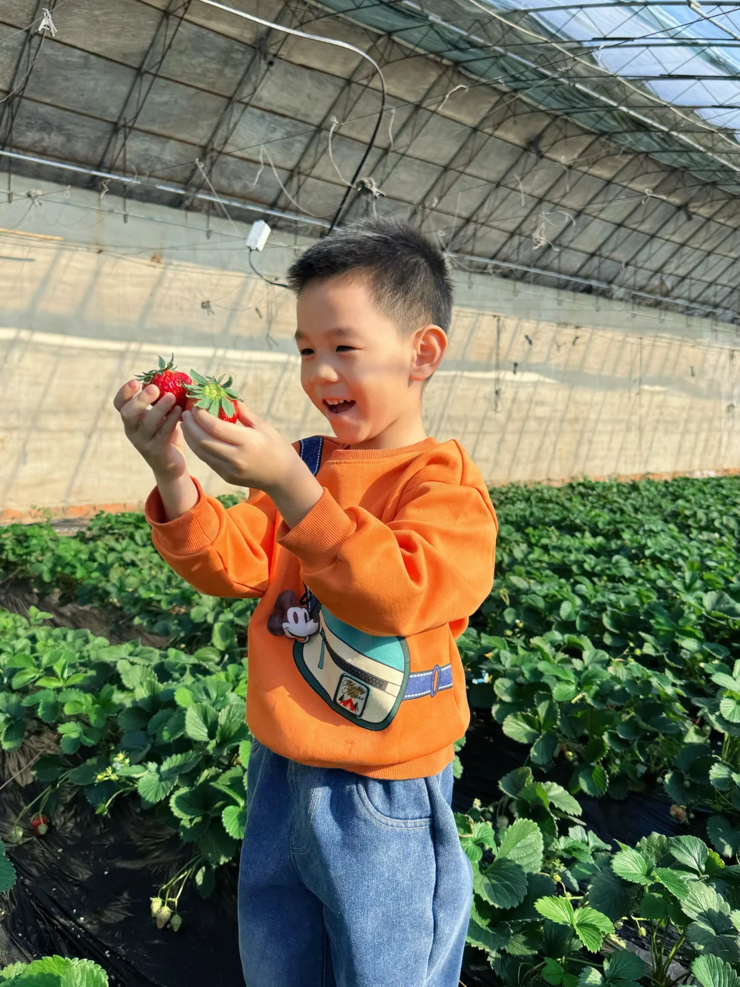 沈阳冬日遛娃天花板！承包一整天的田园快乐！