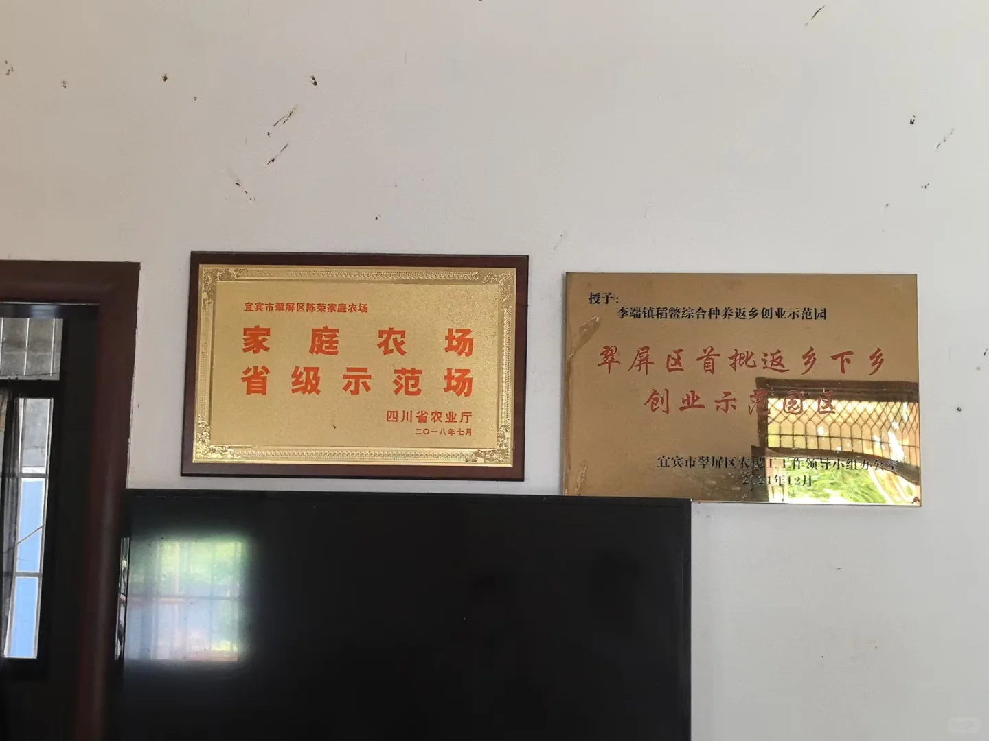 乡贤“养鳖人”：在宜宾李端，种出新模样鳖