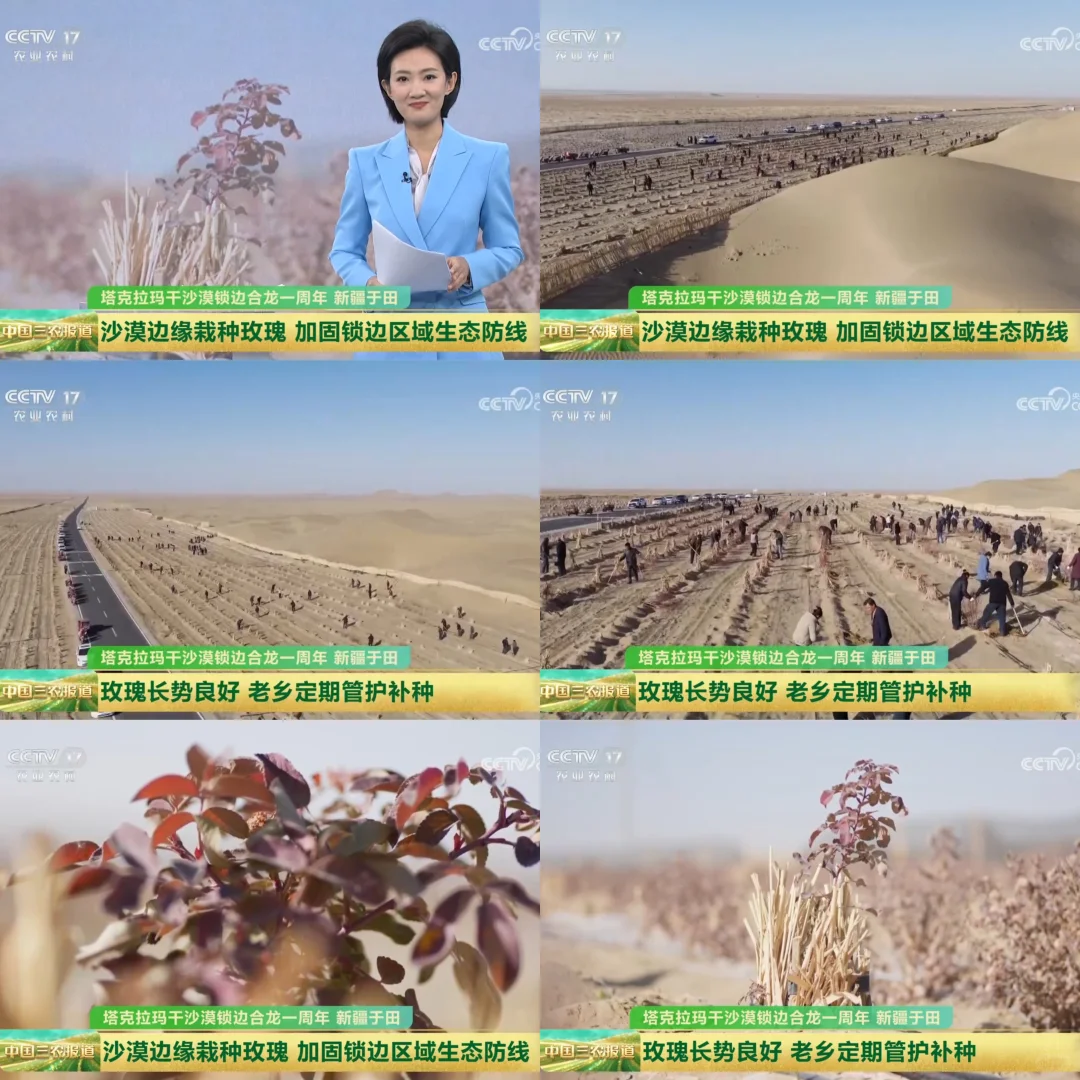 2025年11月28日农业新闻摘录。