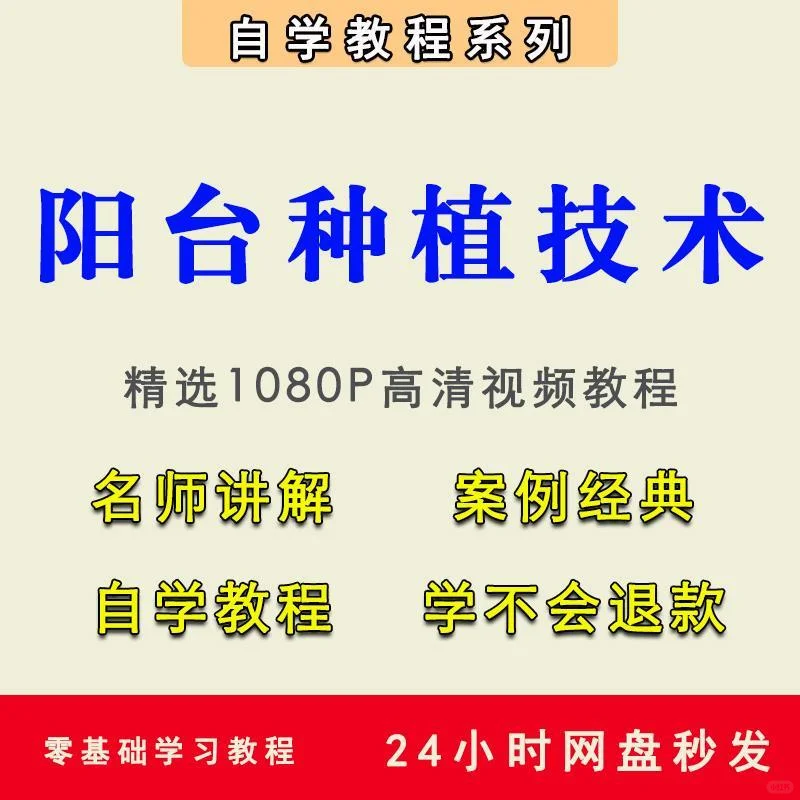 阳台种植蔬菜水果盆栽教程