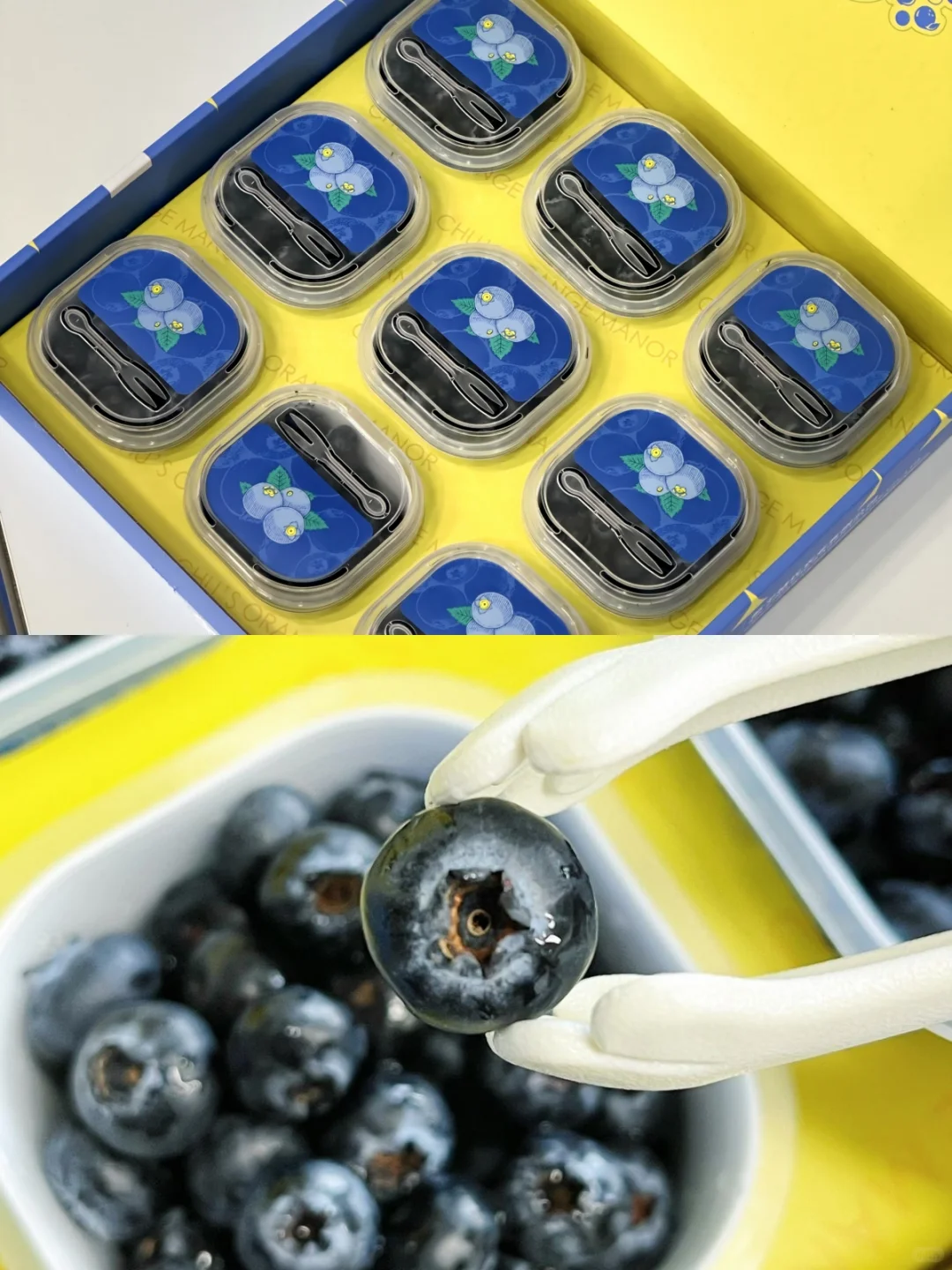 听我的！送礼闭眼选这一盒！