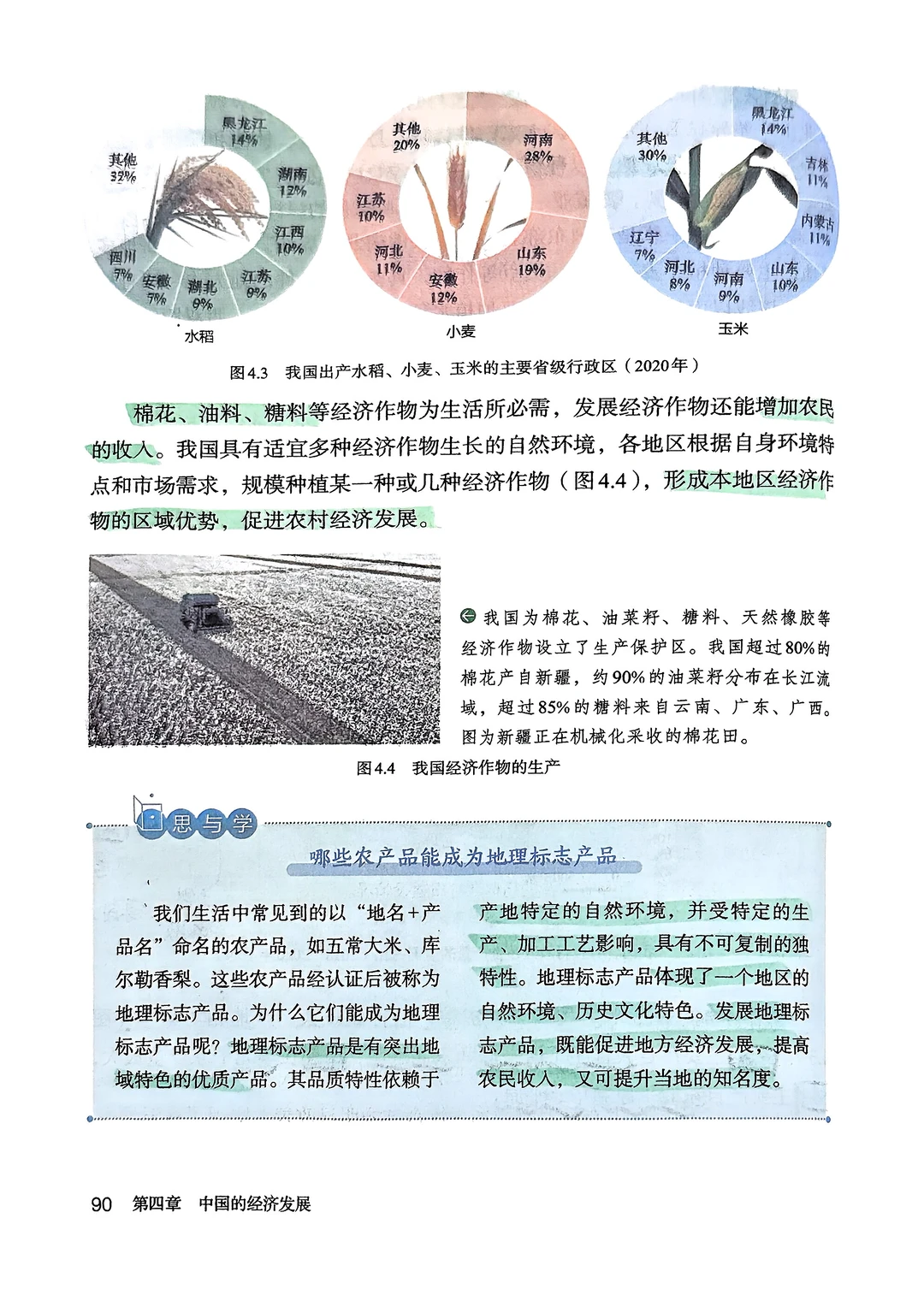 新版人教版八年级上册地理 农业